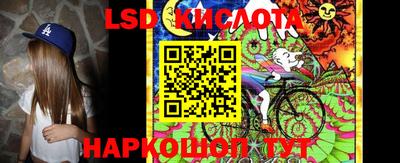 Альфа ПВП Севастополь