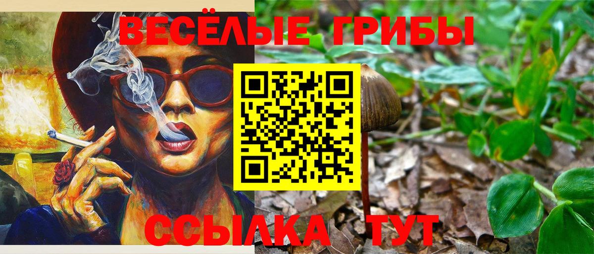 Галлюциногенные грибы прущие грибы  Псилоцибиновые грибы GOLDEN TEACHER  Октябрьский  Вход с VPN 